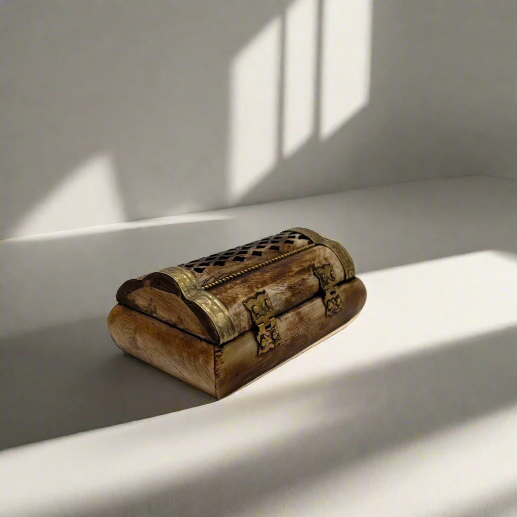 Small Vintage Bone & Brass Trinket Box