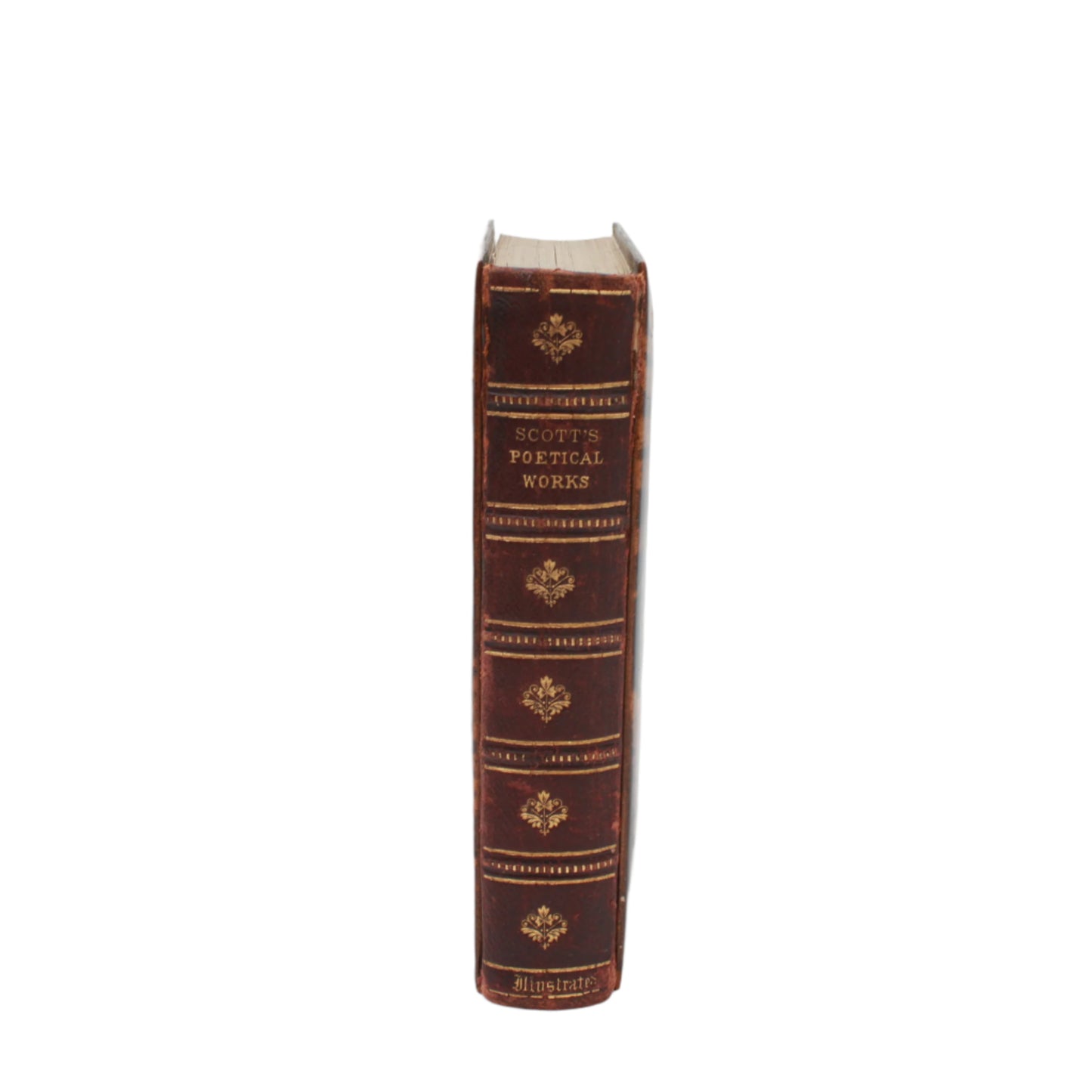 Mauchline Binding 1849 "The Poetical Works of Sir Walter Scott"