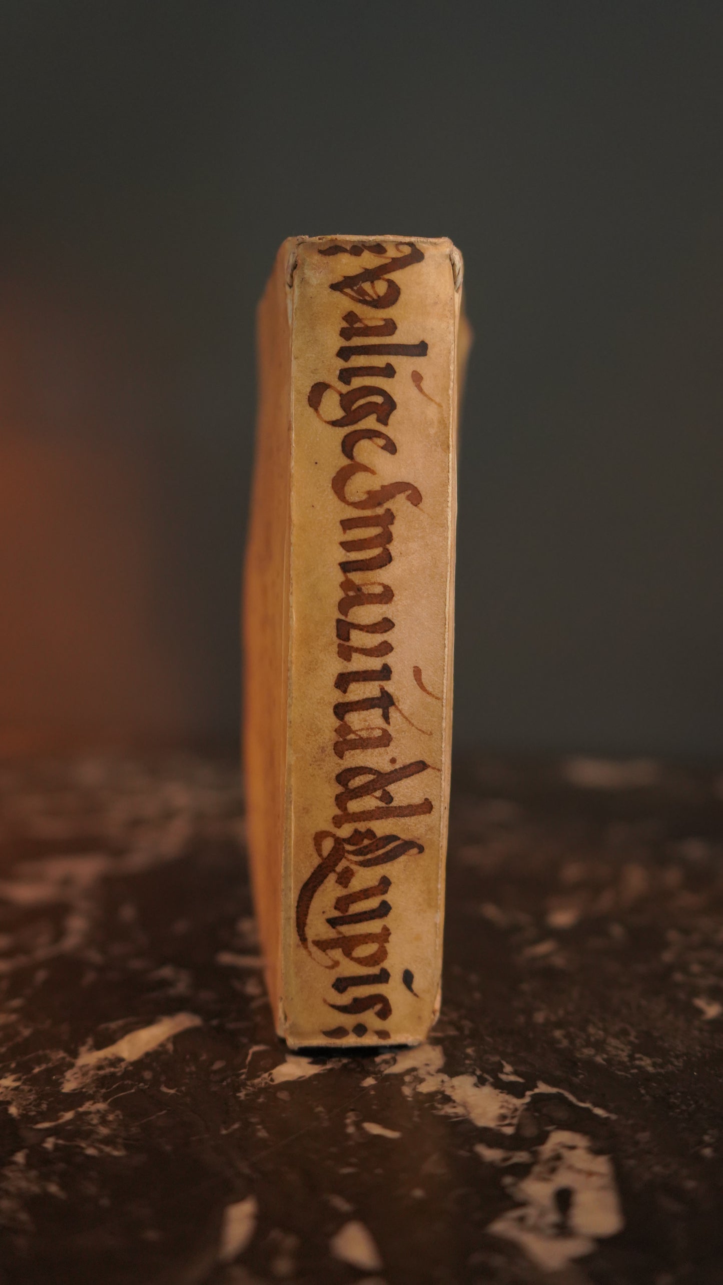 Miniature 1675 "La Valge Smarrita di antonio Lupis" Italian Vellum Book