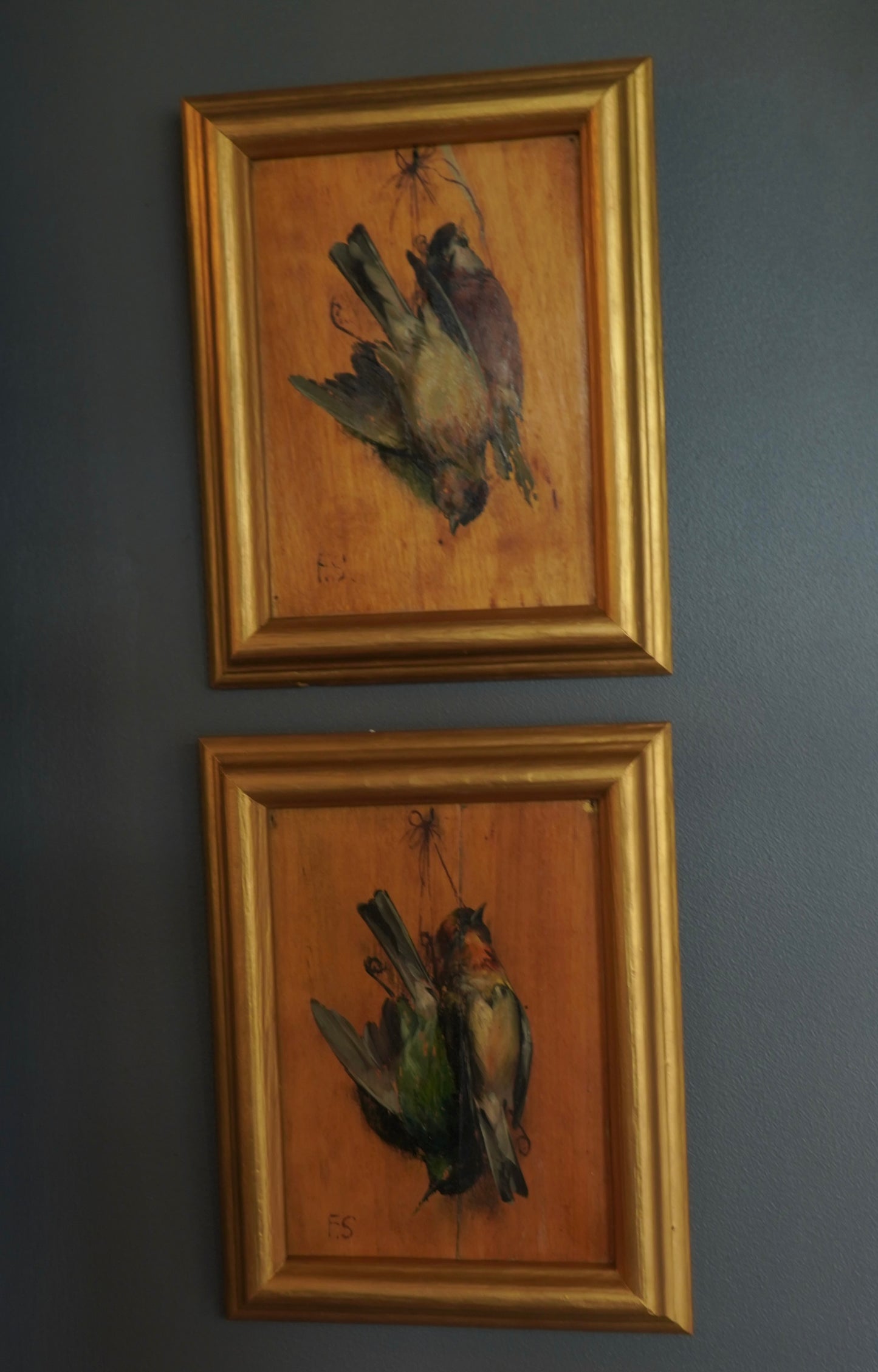 Pair of French “Art Mort” Oil Studies – 1920s Trompe-l’Œil Bird Paintings on Wood Panel, Signed F.S.