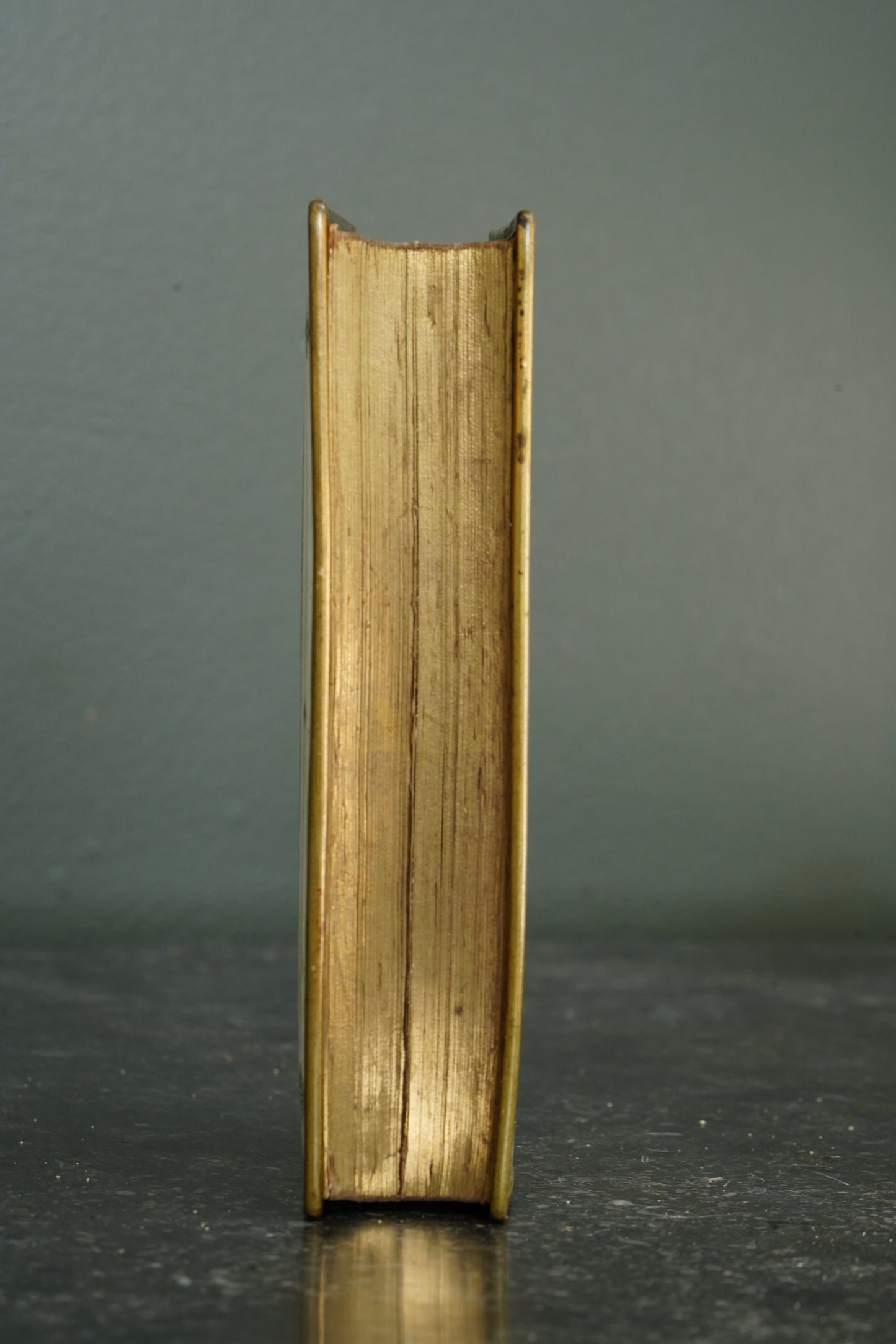 Casquet of Gems 1874 Antique Celluloid Poetry Book