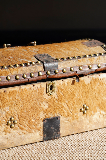 Antique English Hide Dome-Top Trunk, Barnard Castle