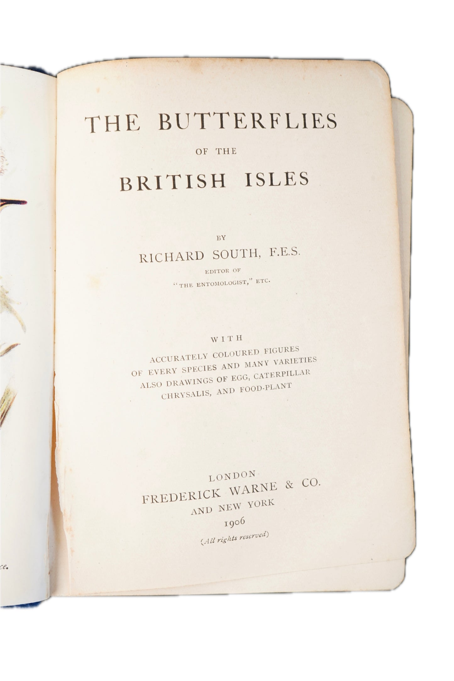 1906 Richard South The Butterflies of the British Isles