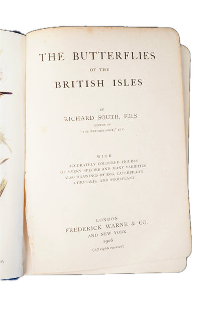 1906 Richard South The Butterflies of the British Isles