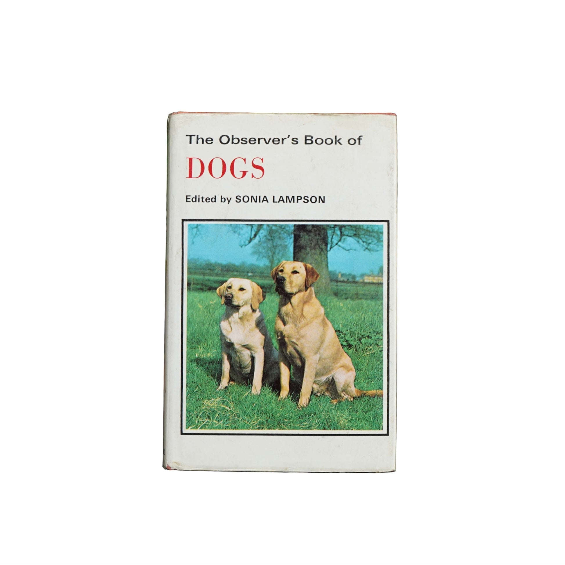 Book titled 'The Observer's Book of Dogs' edited by Sonia Lampson on a dark surface with a plant in the background.
