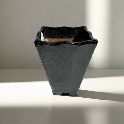 Vintage Tokoname Black-Glazed Bonsai Vase