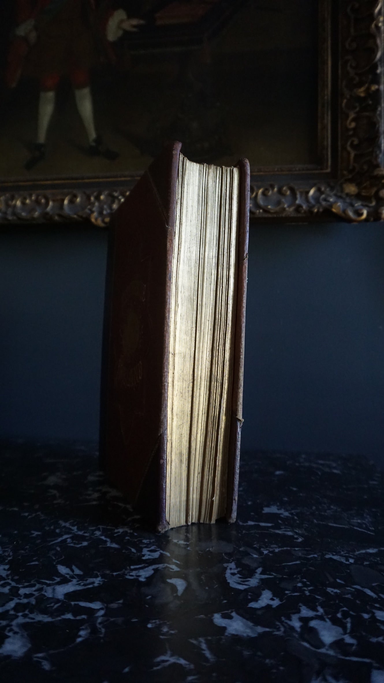 1884 Picturesque Ireland by John Savage | Illustrated Victorian Leather-Bound Book