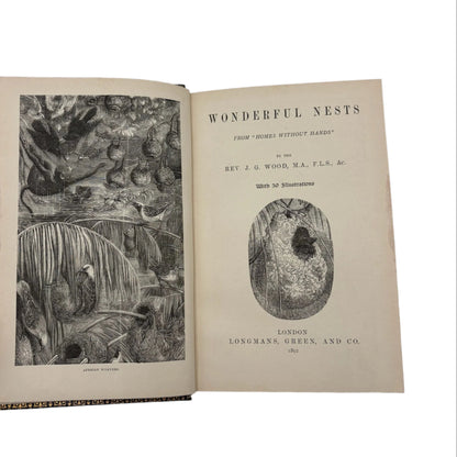 1892 Wonderful Nests, Victorian Natural History Bird Book
