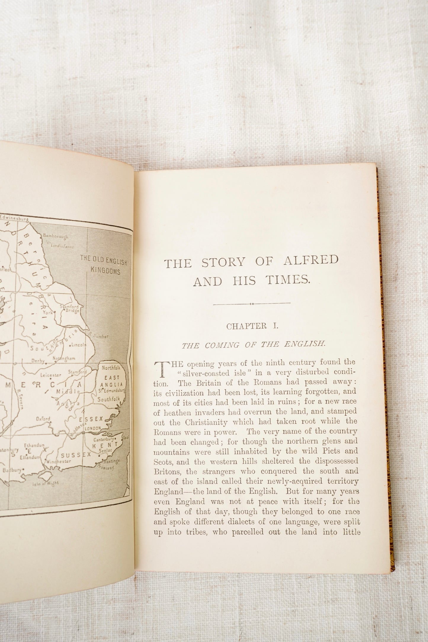 Antique Leather Book The Story of Alfred and His Times 1900