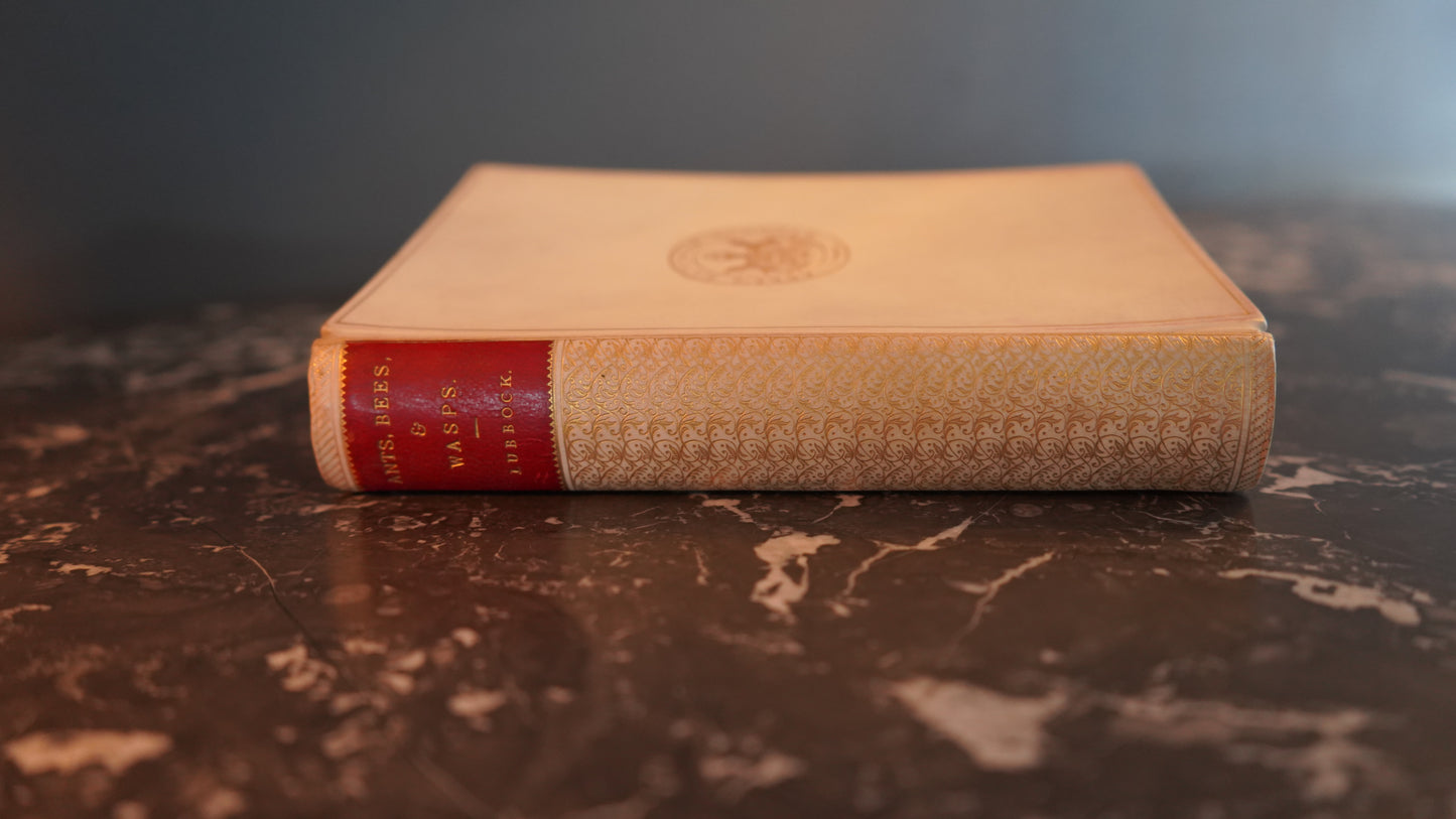 1888 “Ants, Bees & Wasps” by Sir John Lubbock, Nature Book