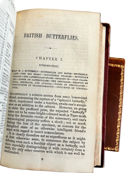 Antique Our Woodlands & British Butterflies W.S. Coleman Routledge 1859-1860