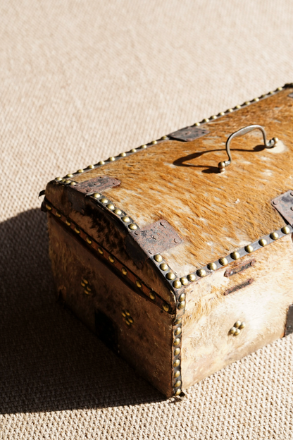 Antique English Hide Dome-Top Trunk, Barnard Castle