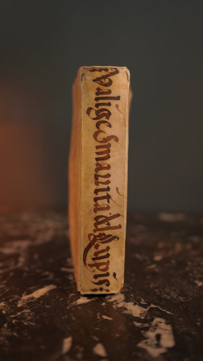 Miniature 1675 "La Valge Smarrita di antonio Lupis" Italian Vellum Book