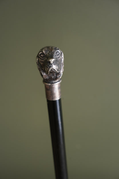 Antique Silver Dog Head Walking Cane, Setter, Circa 1900