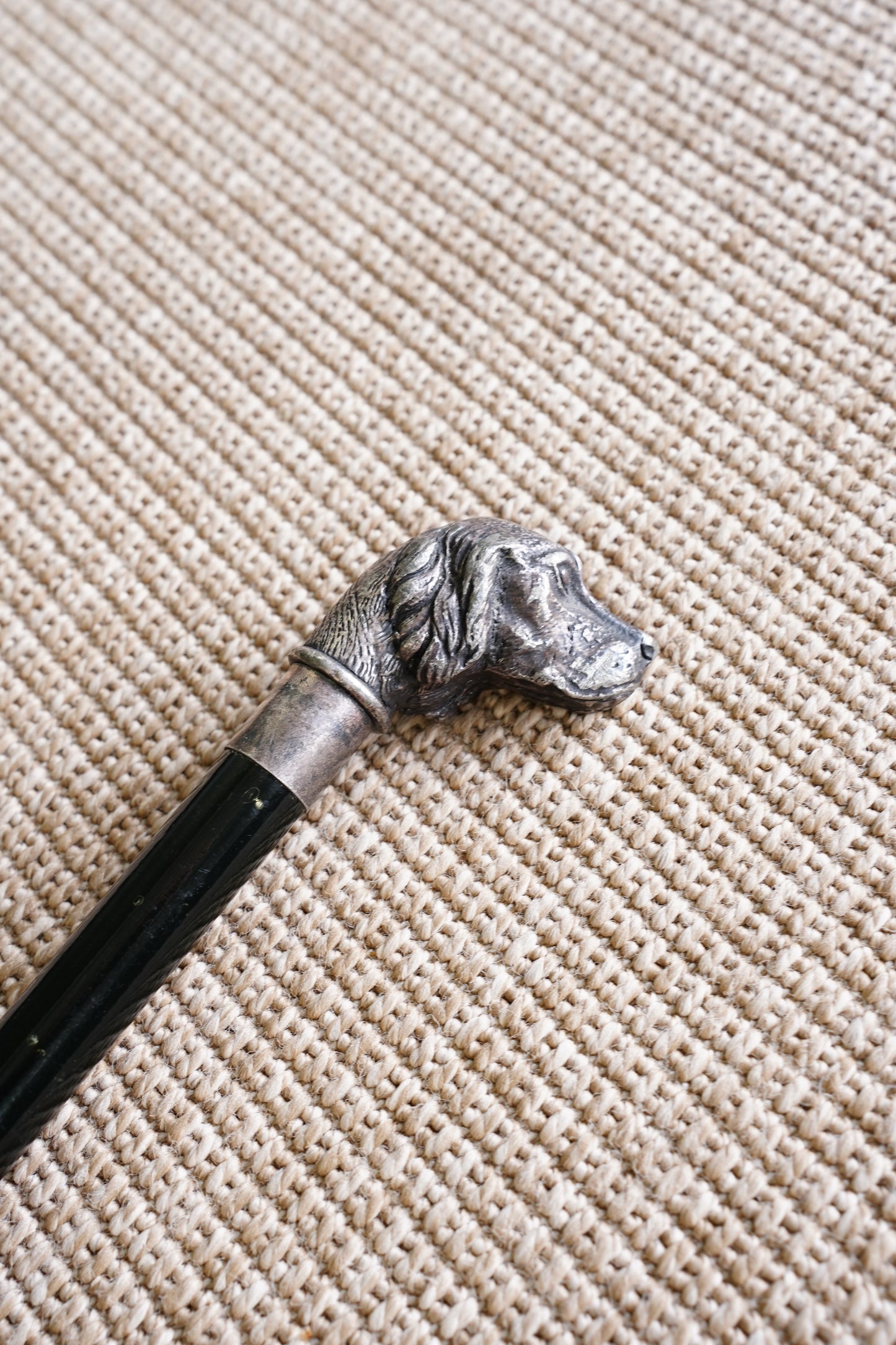 Antique Silver Dog Head Walking Cane, Setter, Circa 1900