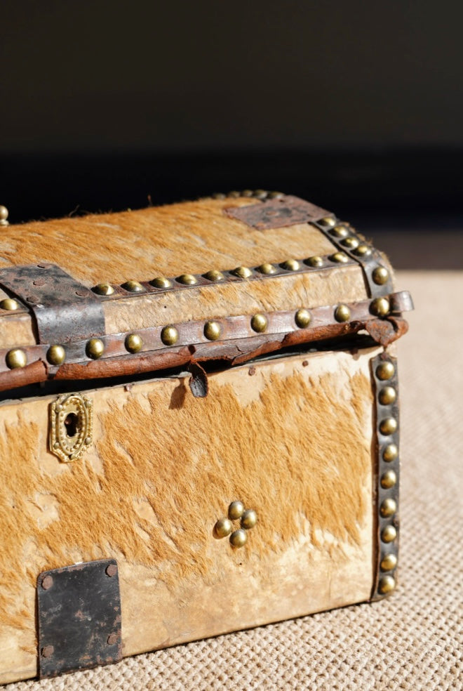 Antique English Hide Dome-Top Trunk, Barnard Castle