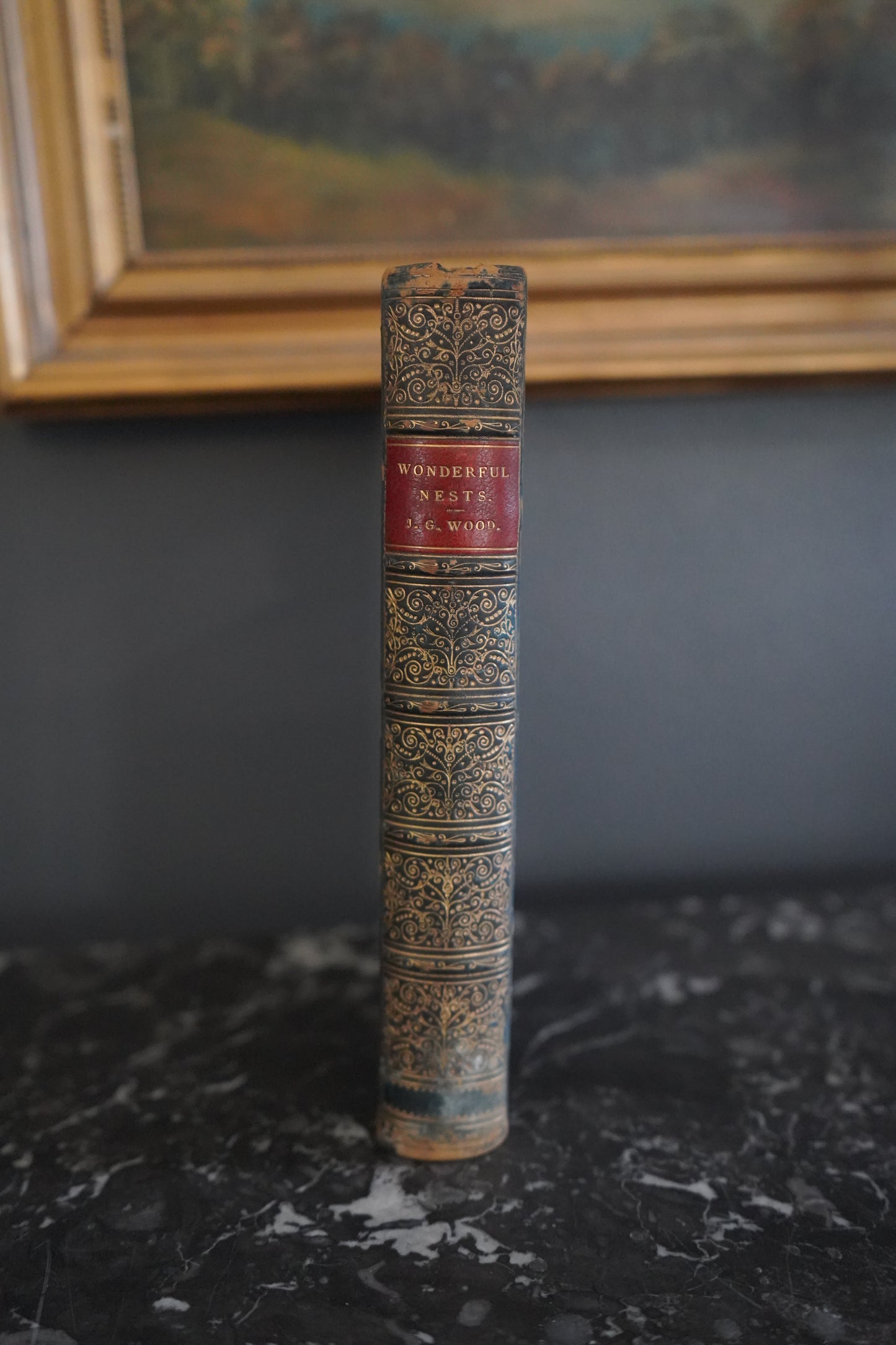 1892 Wonderful Nests, Victorian Natural History Bird Book