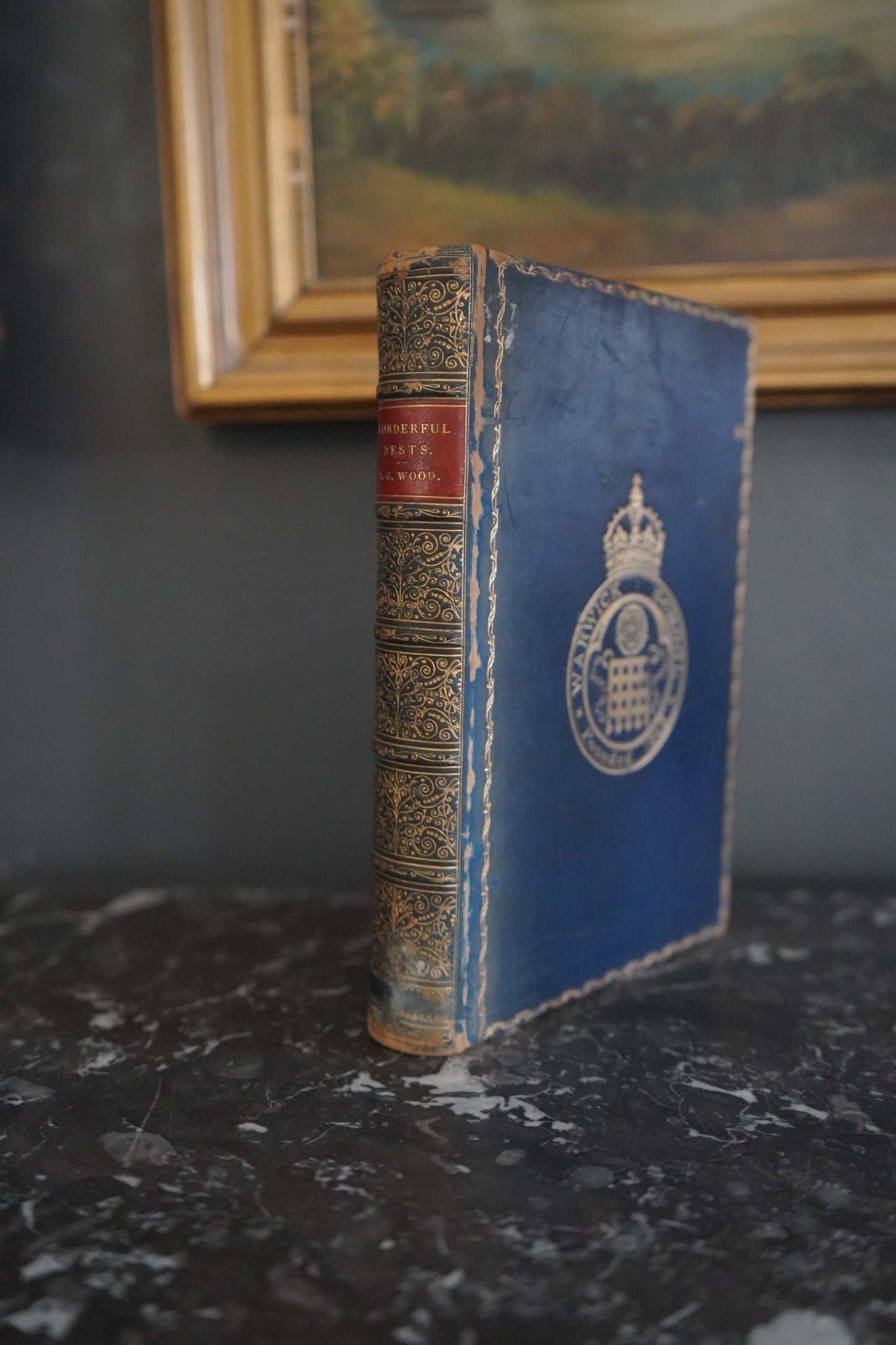 1892 Wonderful Nests, Victorian Natural History Bird Book