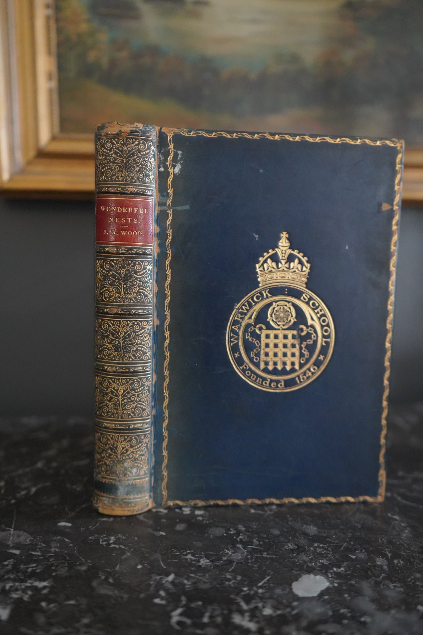 1892 Wonderful Nests, Victorian Natural History Bird Book