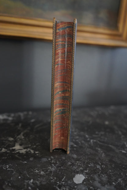1892 Wonderful Nests, Victorian Natural History Bird Book
