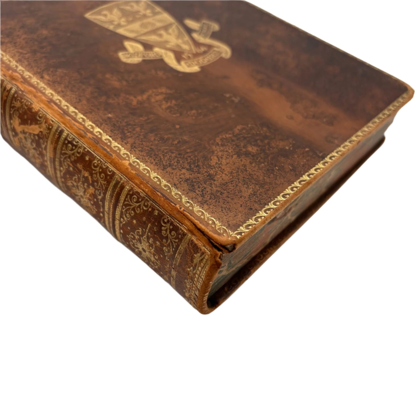 1893 "John Wyclif" Brown Full Tree-Calf Leather Book