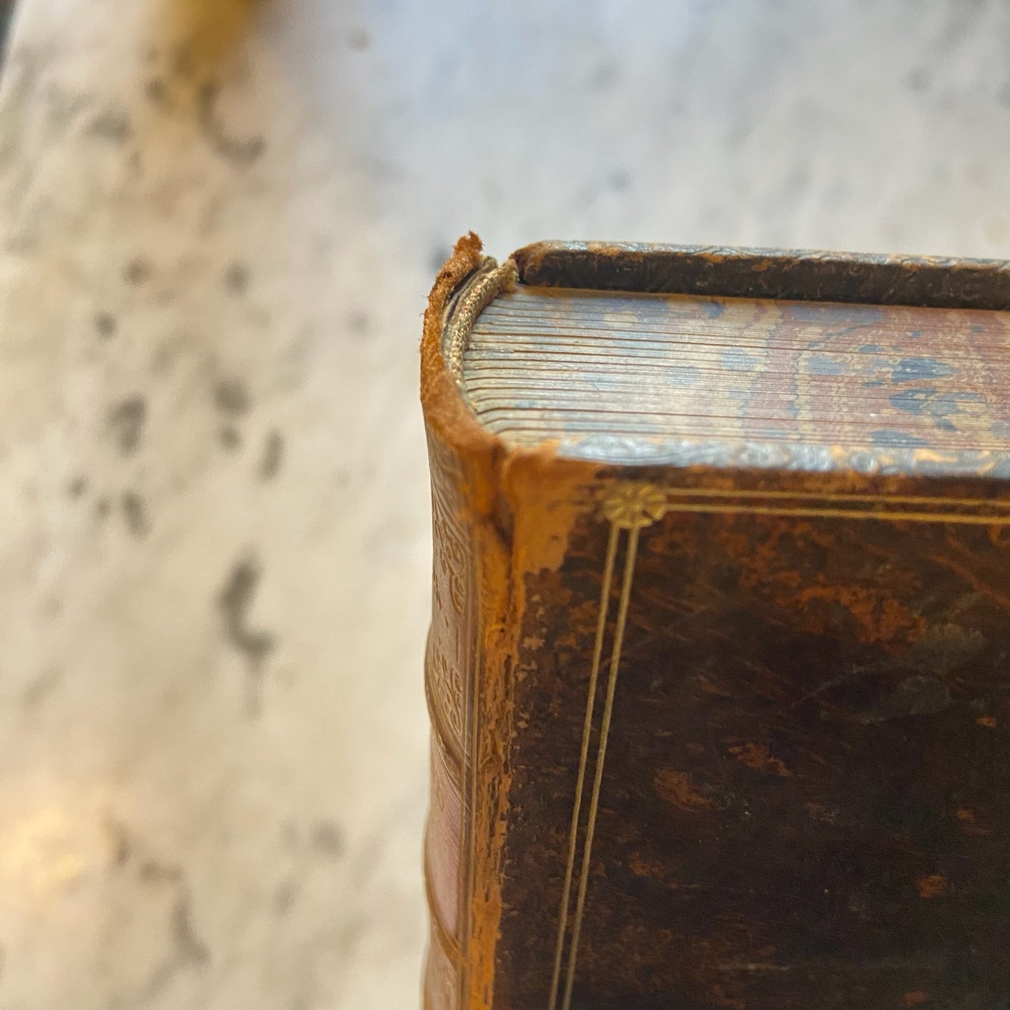 1890 “Oxford: Brief Historical and Descriptive Notes” by Andrew Lang – Antique Illustrated History Book in Tree Calf Prize Binding