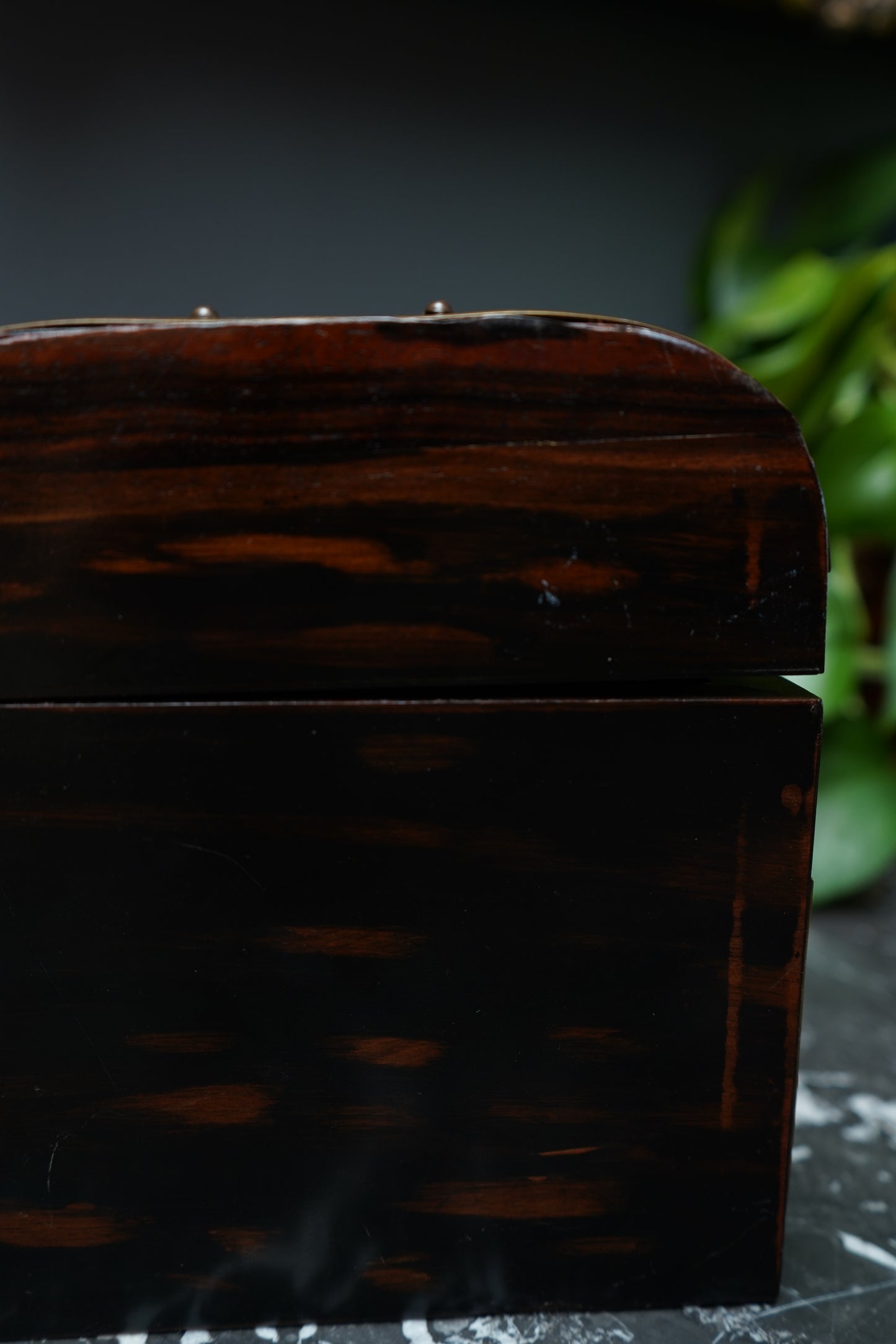 Antique Georgian Rosewood Domed Tea Caddy with Brass Mounts, Circa 1820-1830