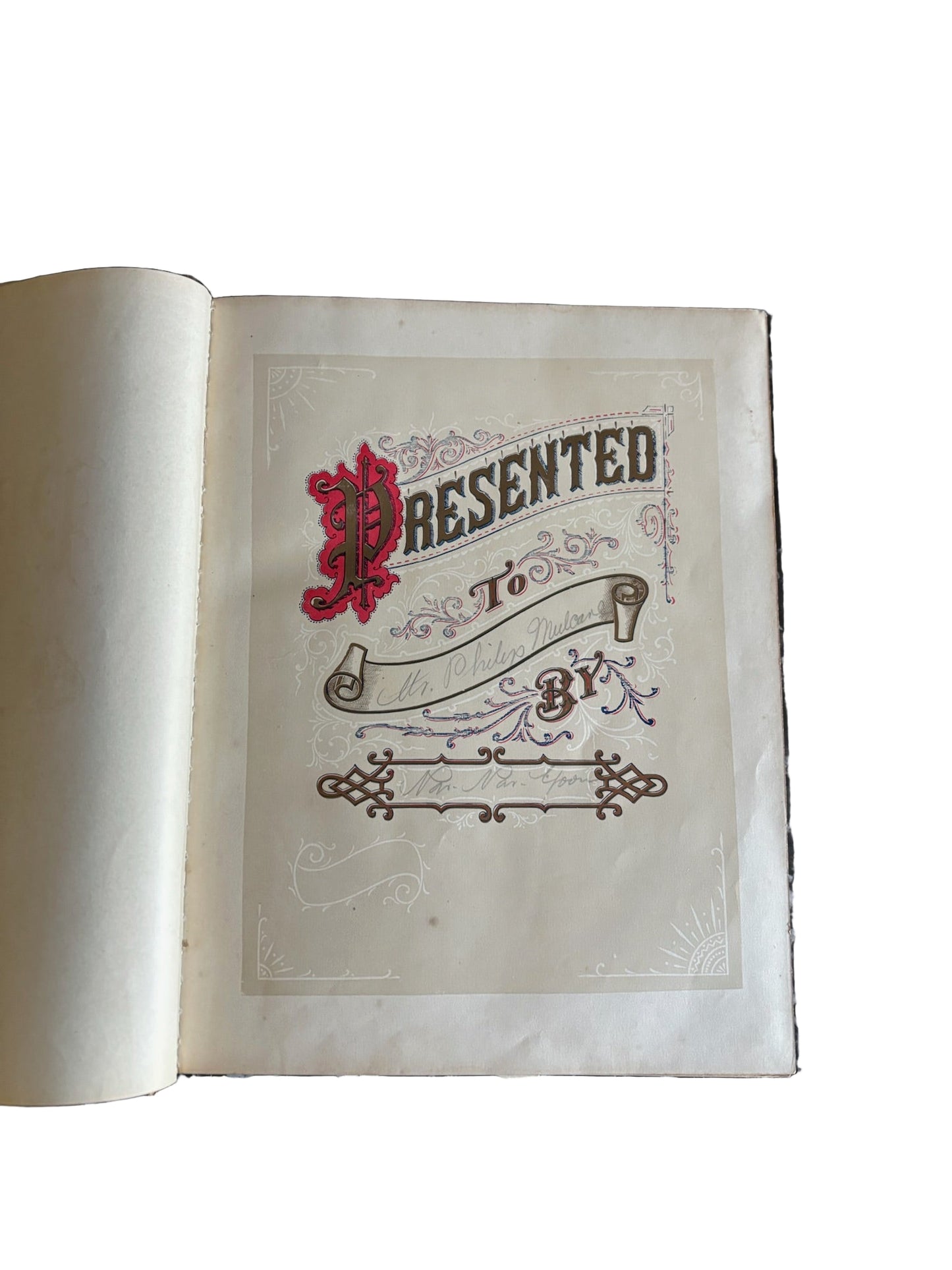 1884 Picturesque Ireland by John Savage | Illustrated Victorian Leather-Bound Book