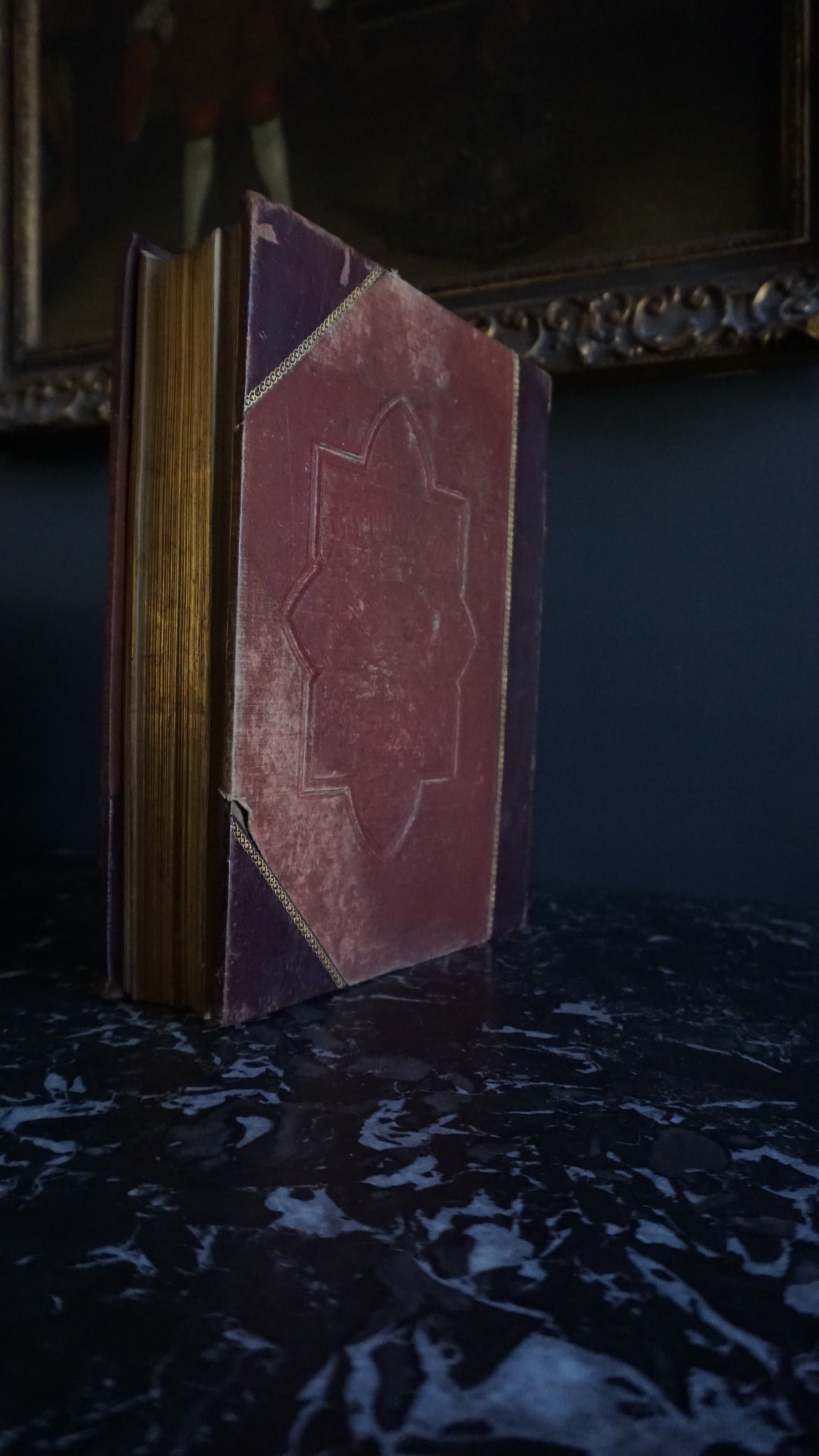 1884 Picturesque Ireland by John Savage | Illustrated Victorian Leather-Bound Book