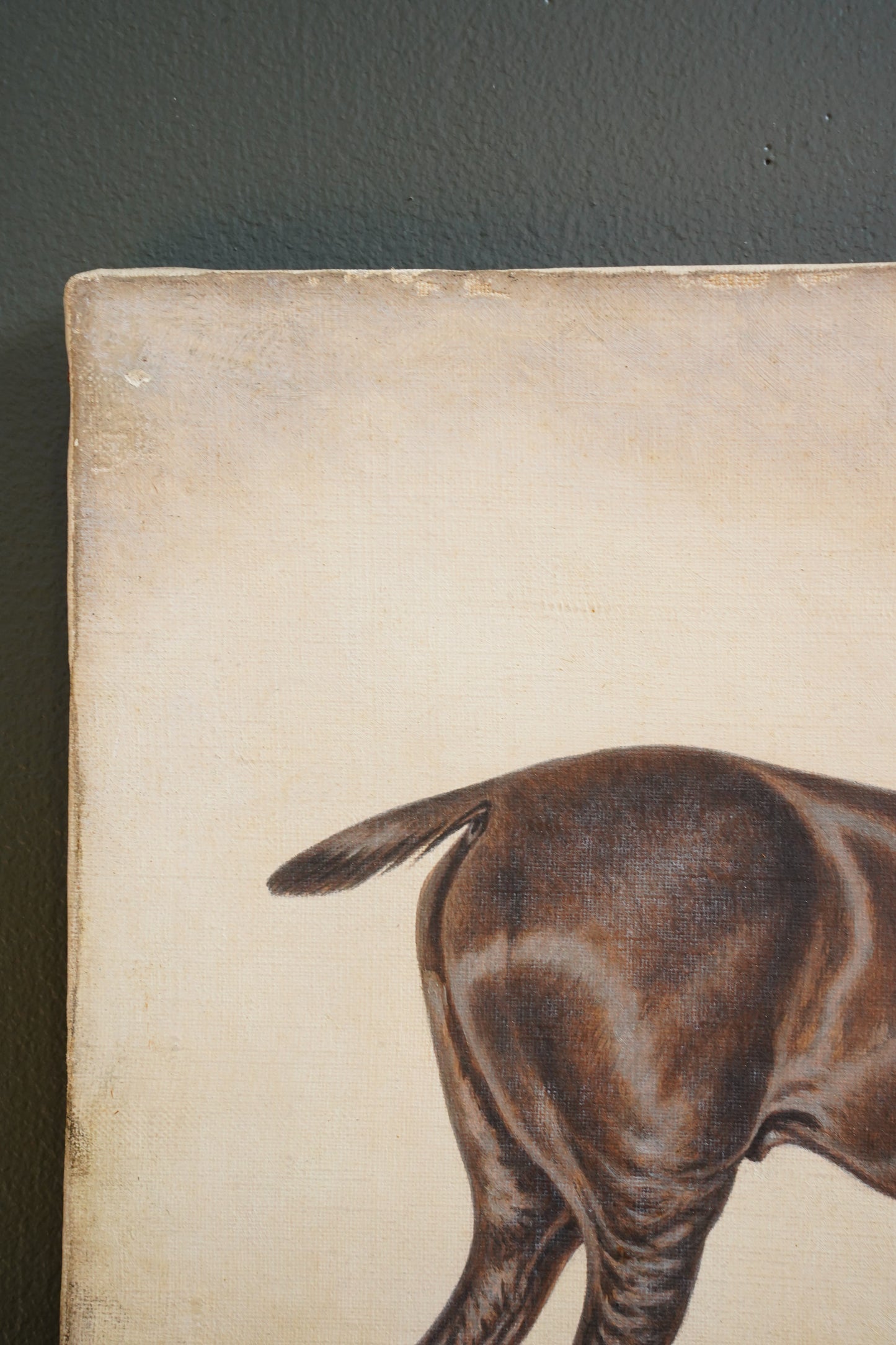 *RESERVED* Antique English Equestrian Oil Painting, Signed W. Turner, Horse in Stable