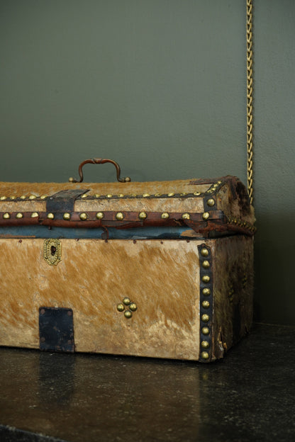 Antique English Haircalf Dome Top Trunk by I.K. Powell of Barnard Castle, Circa 1830