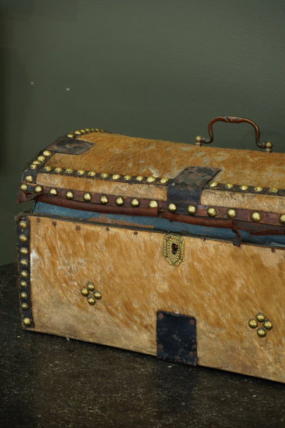 Antique English Haircalf Dome Top Trunk by I.K. Powell of Barnard Castle, Circa 1830