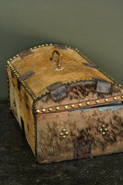 Antique English Haircalf Dome Top Trunk by I.K. Powell of Barnard Castle, Circa 1830