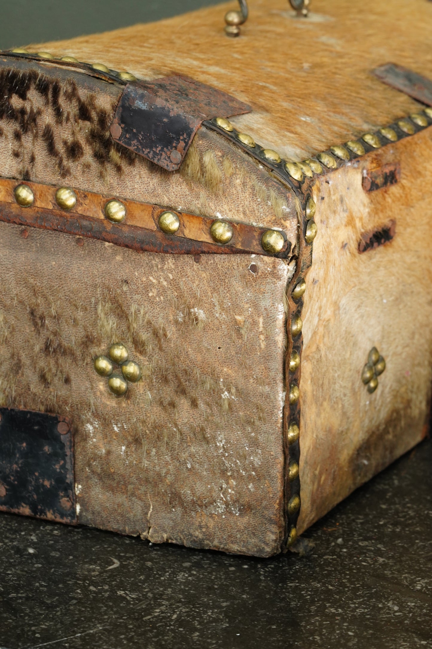 Antique English Haircalf Dome Top Trunk by I.K. Powell of Barnard Castle, Circa 1830