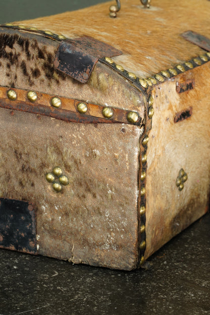 Antique English Haircalf Dome Top Trunk by I.K. Powell of Barnard Castle, Circa 1830