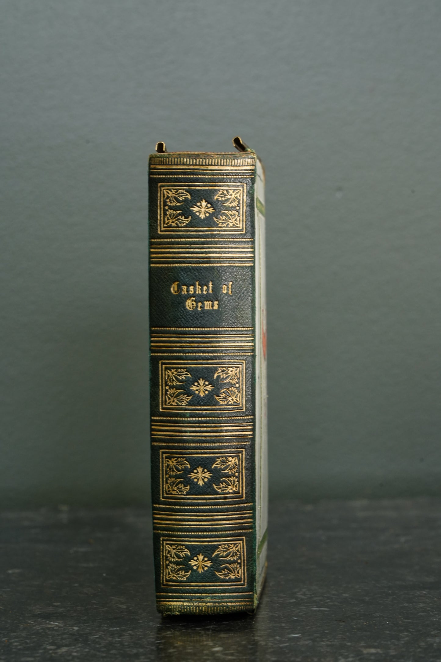 Casquet of Gems 1874 Antique Celluloid Poetry Book