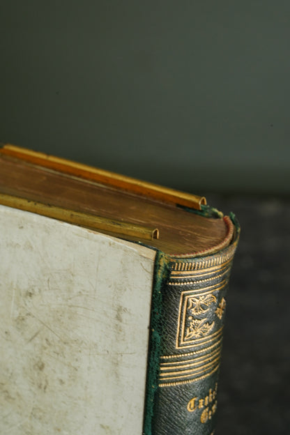 Casquet of Gems 1874 Antique Celluloid Poetry Book