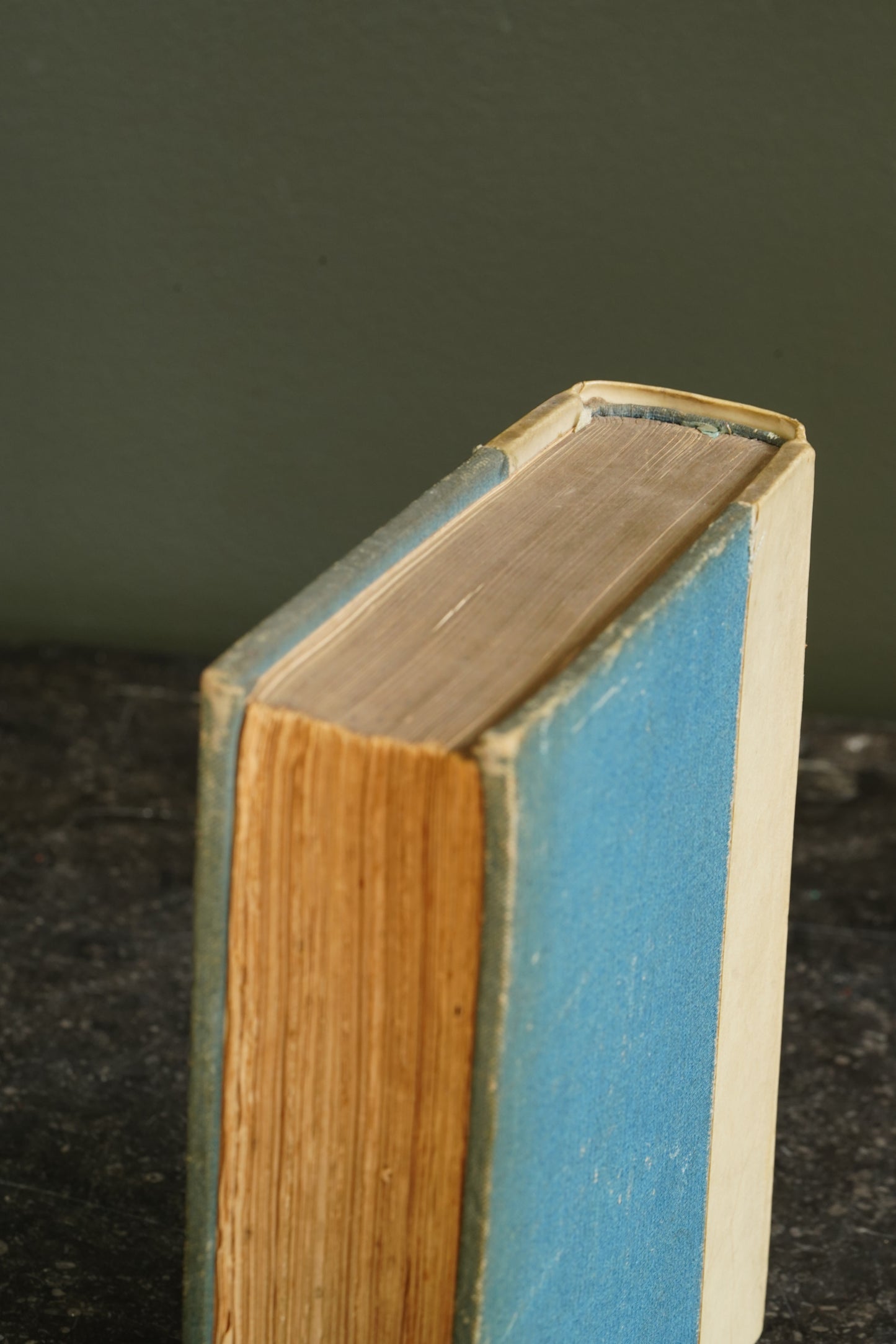 Antique Art History Book Legends of the Madonna Vellum 1907