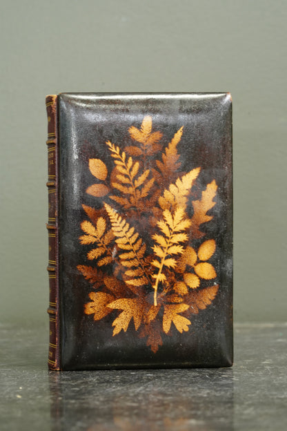 1871 Wordsworth Poetical Works Mauchline Binding Poetry Book