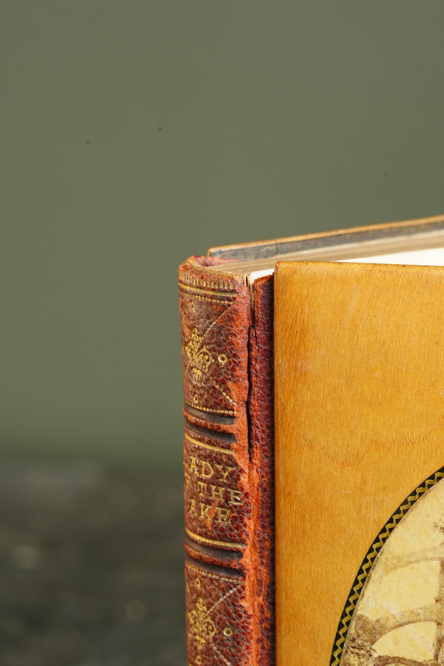 Antique Poetry Book Lady of the Lake Walter Scott Mauchline Binding