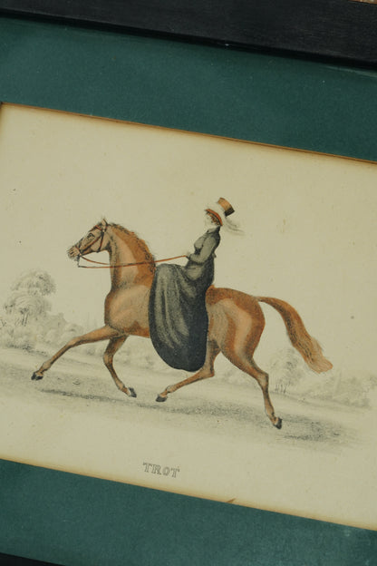 Set of Four - Antique English Equestrian Engravings, Hand-Coloured Horsemanship
