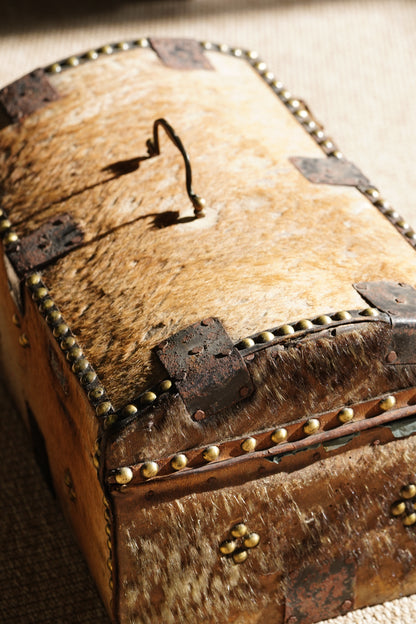 Antique English Hide Dome-Top Trunk, Barnard Castle