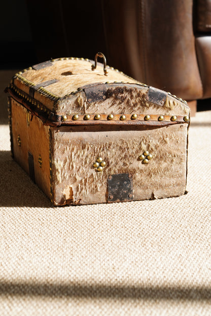 Antique English Hide Dome-Top Trunk, Barnard Castle