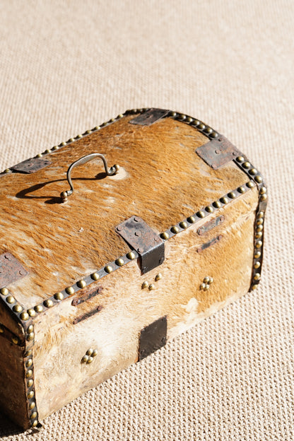 Antique English Hide Dome-Top Trunk, Barnard Castle