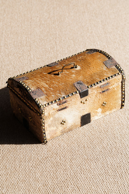 Antique English Hide Dome-Top Trunk, Barnard Castle