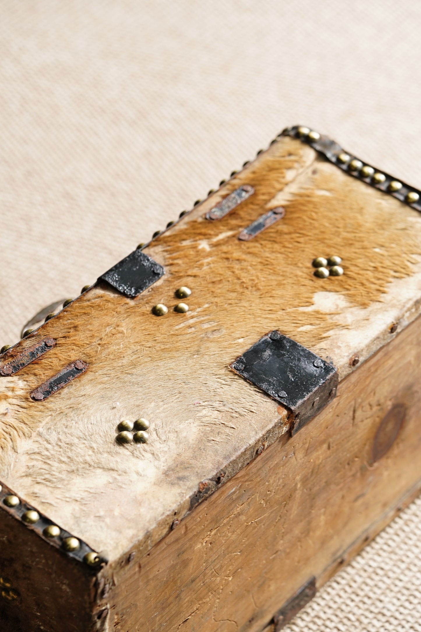 Antique English Hide Dome-Top Trunk, Barnard Castle