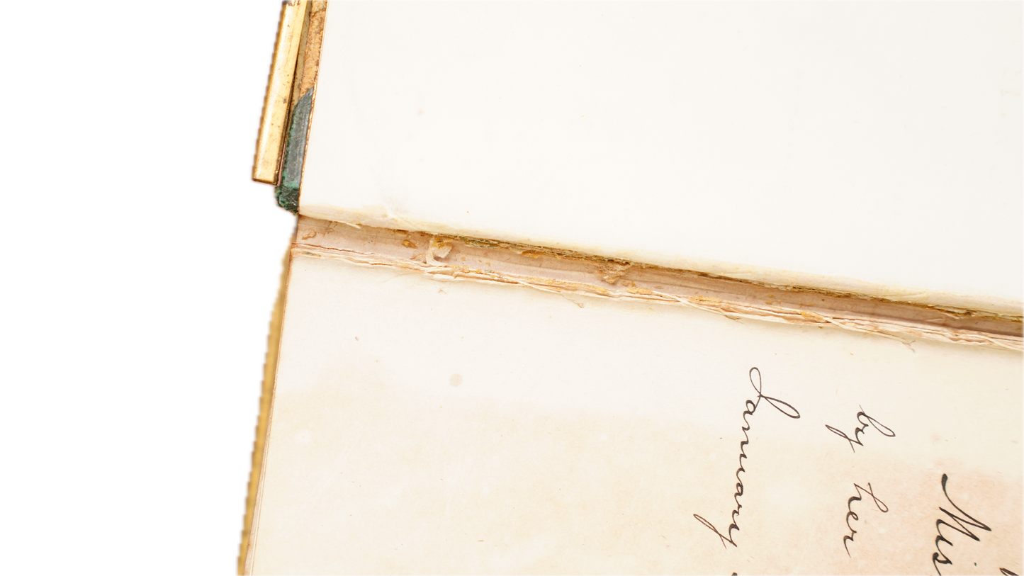 Casquet of Gems 1874 Antique Celluloid Poetry Book