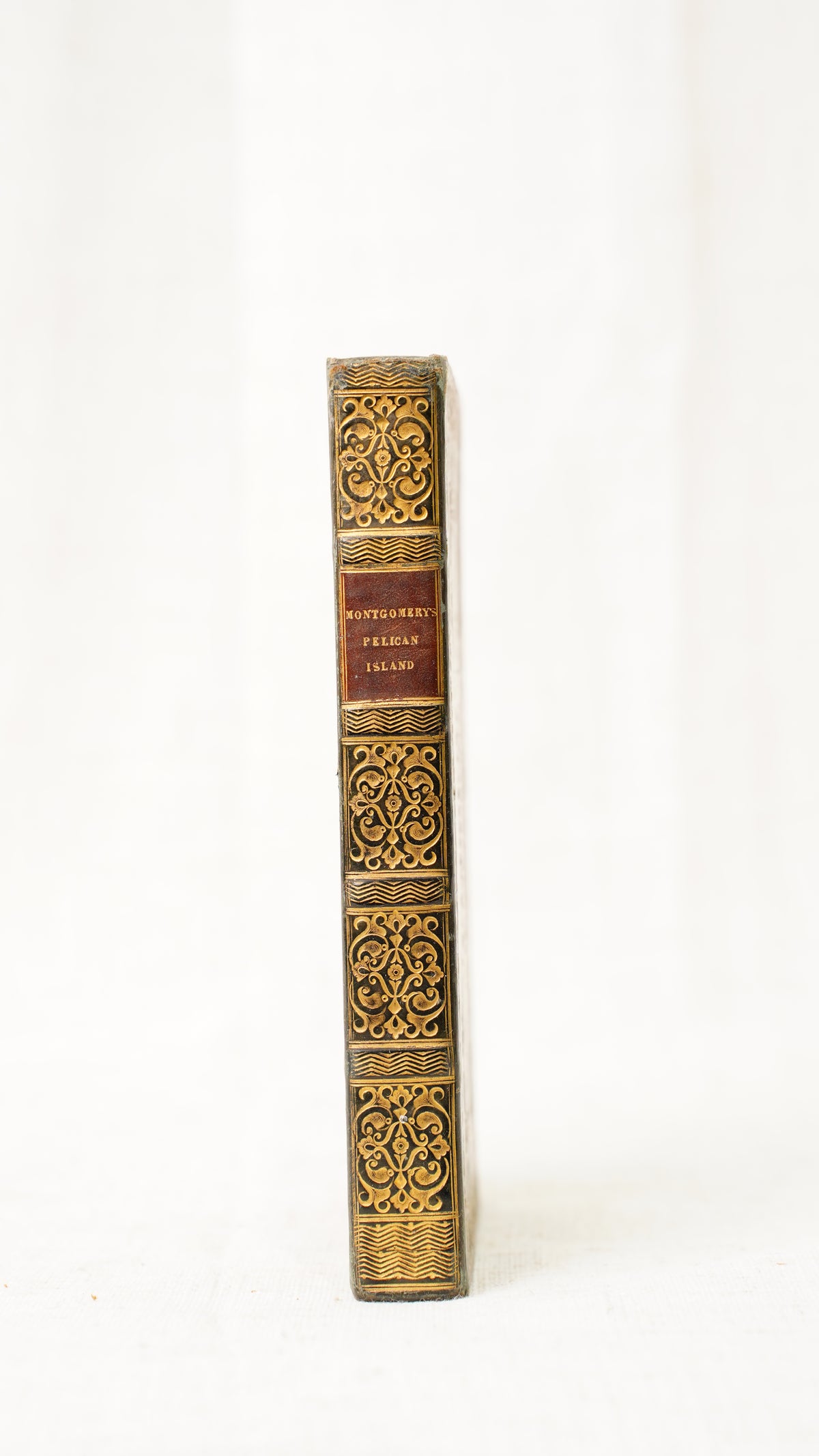 Montgomery Pelican Island 1828 Antique Prize Binding Green Leather Book
