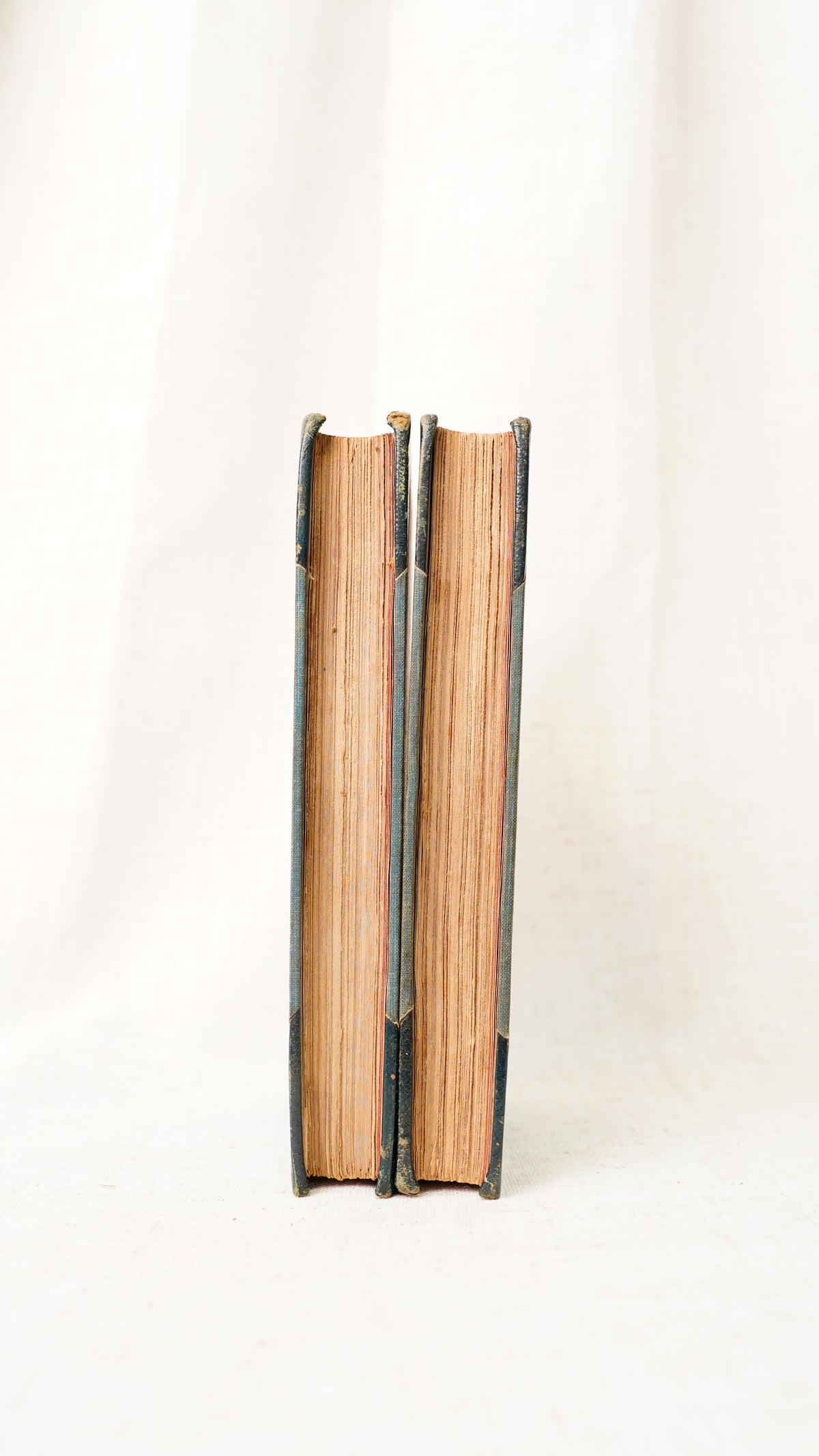 Julia Kavanagh Woman in France 1850 Antique Half-Leather Books Two Volumes