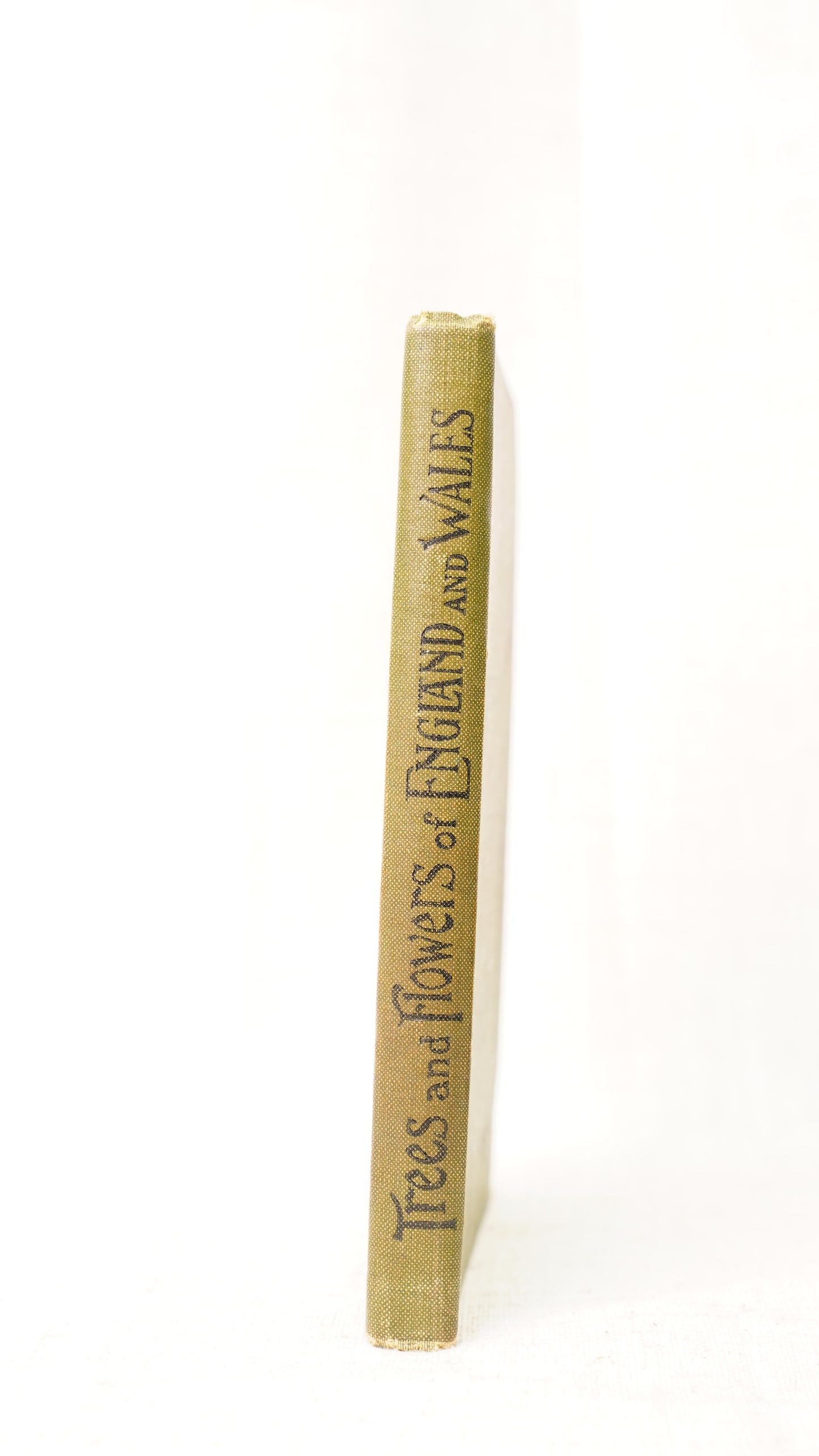Antique H.G. Jameson Trees and Flowers of England and Wales 1909 Illustrated Guide